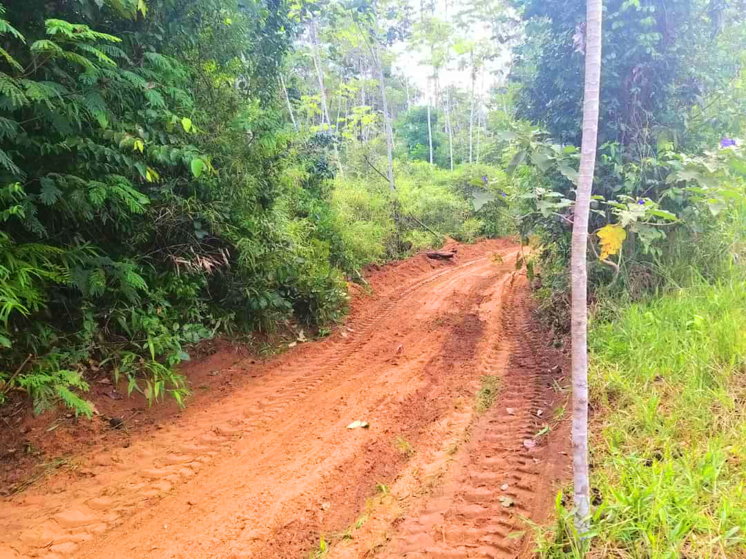 Prefeitura de Laranjal do Jari mantém serviços de manutenção em ramais